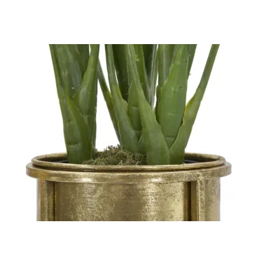 P/VASI GLAM PARA CM 27X62-21,5X52 cm